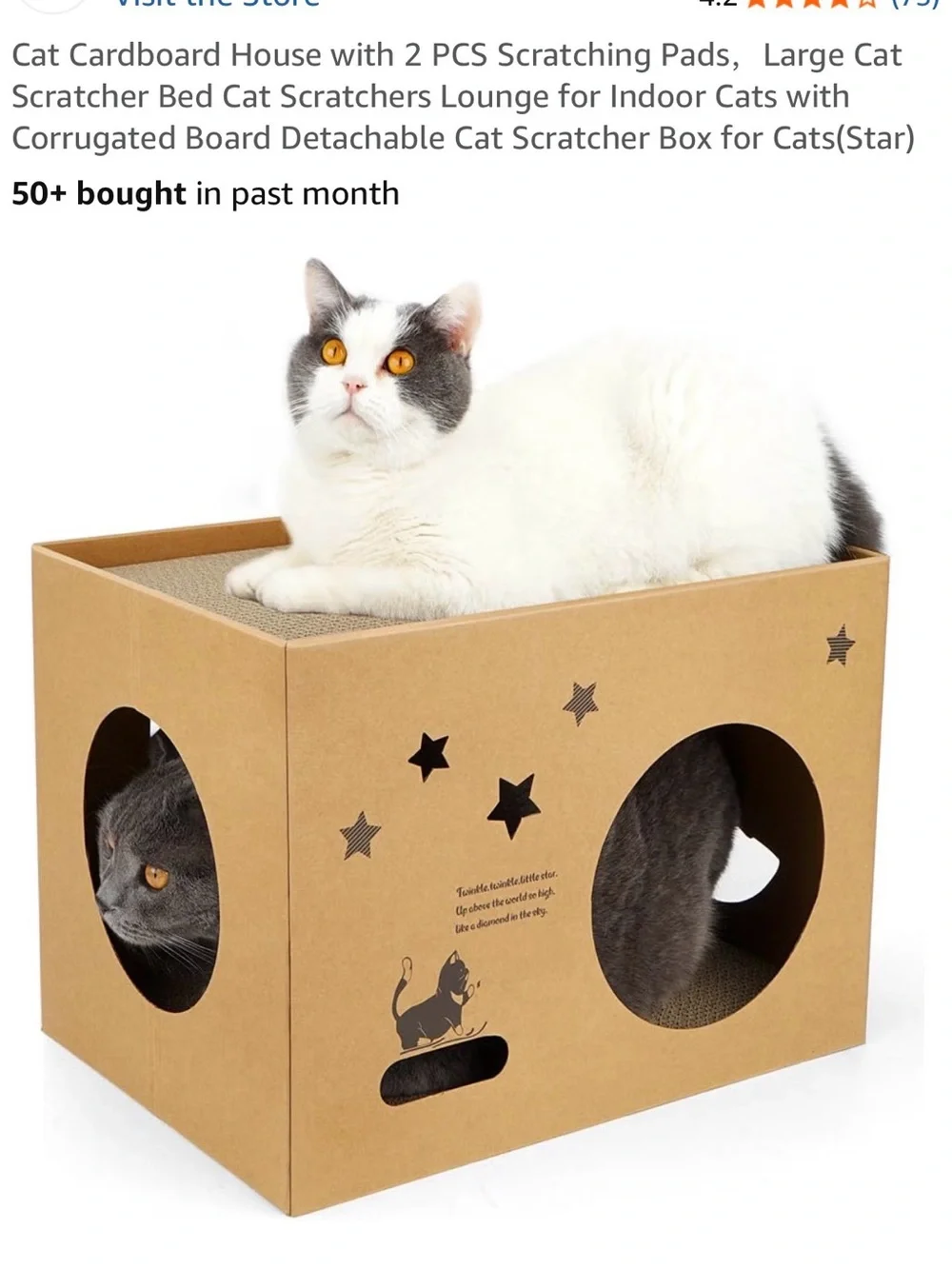 Cardboard Cat House with Scratching Pads - Brown